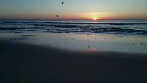 Seagulls Fly Over Slow Motion Waves At Sunrise Stock Footage 239790506