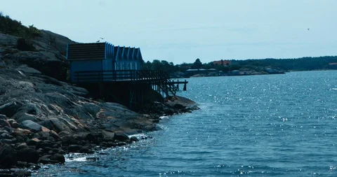 Seagulls fly over small cabins overlooking the sea of the Swedish archipelago Stock Footage 113951640