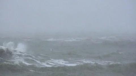 Seagulls fly over the storm. Slow motion. Video stock 65299154