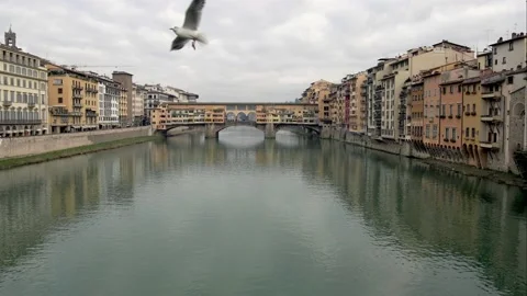 Seagulls fly at Ponte Vecchio of Florence Stock Footage 169311262