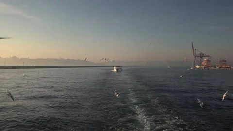 Seagulls fly in slow motion from the ferry on the Bosphorus Stock Footage 181075414