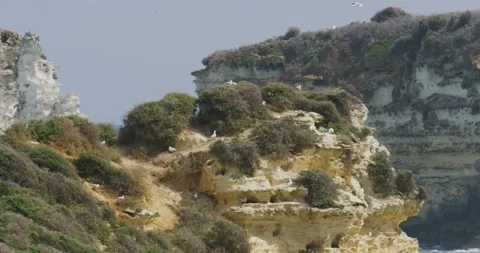 Seagulls Fly On Top The Stack 库存影片 330495729