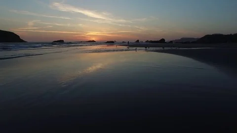 Seagulls flying across the beach at sunset Stock Footage 71156973
