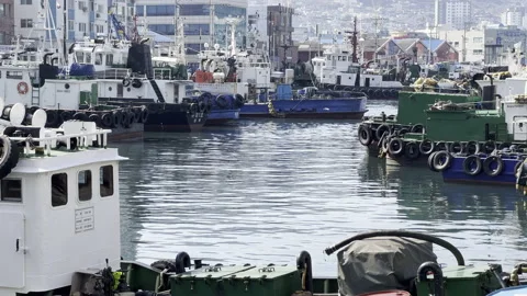 Seagulls flying along the dock in Yeongdo, Busan, South Korea Stock Footage 171550149