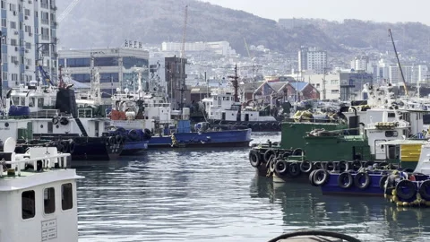 Seagulls flying along the dock in Yeongdo, Busan, South Korea Stock Footage 171840545