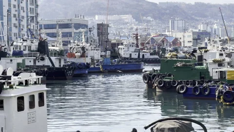 Seagulls flying along the dock in Yeongdo, Busan, South Korea Stock Footage 171841114
