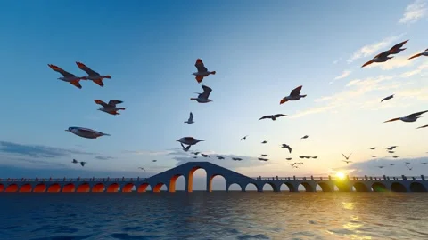 Seagulls flying and hovering on the pier at sunset Stock Footage 218423775