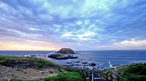 Seagulls flying and nesting on Phillip Island, Australia, with stormy skies 库存影片 49327133
