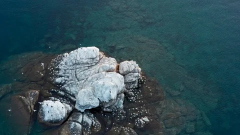 Seagulls flying and nesting on a rock in the middle of the ocean. Aerial view. Stock Footage 118245954
