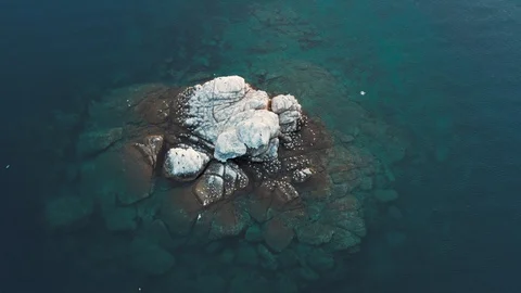 Seagulls flying and nesting on small rock island in the ocean. Aerial view. Stock Footage 118245878