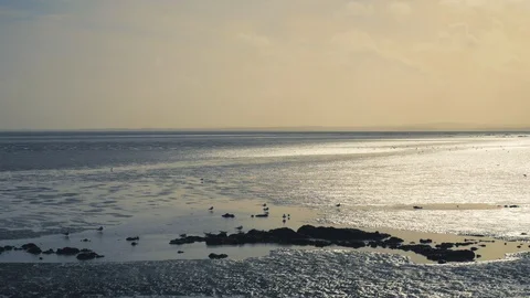 Seagulls flying away from beach 스톡 동영상 124148869