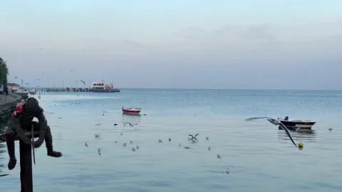 Seagulls flying on the beach Stock Footage 178545168