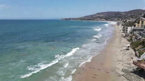 Seagulls Flying at the Beach Stock Footage 195432697