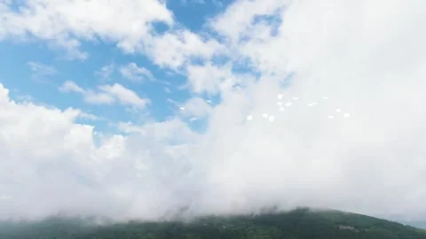 Seagulls Flying in Blue Sky Under Clouds Video stock 325329439