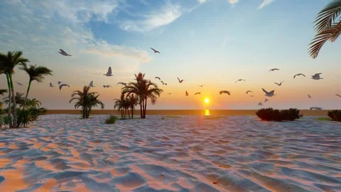 Seagulls flying freely on the beach. Stock Footage 288090954