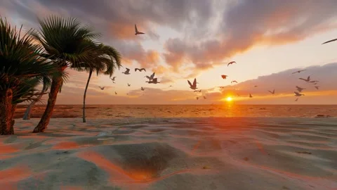 Seagulls flying freely on the beach Stock Footage 288168824