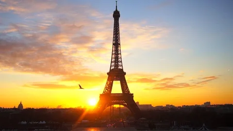 Seagulls flying in front of the Eiffel Tower at sunrise, Paris, France. Stock-Footage 122466023