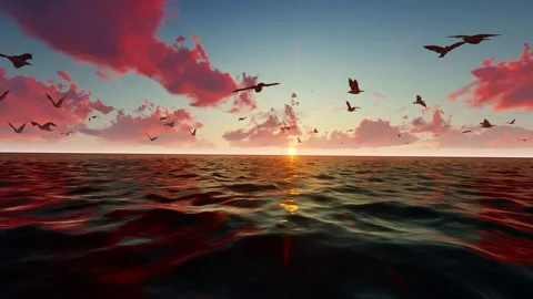 Seagulls flying in harmony in nature Video stock 288192972