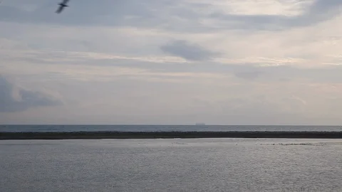 Seagulls flying on a Mediterranean beach 스톡 동영상 103446342