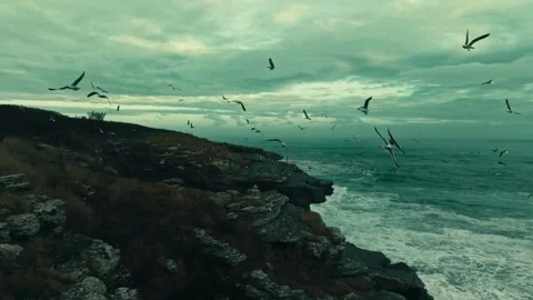 Seagulls Flying, Ocean Waves, Turbulent Water, Coastal Cliffs Stock Footage 328523786