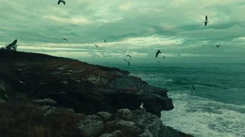 Seagulls Flying, Ocean Waves, Turbulent Water, Coastal Cliffs Stock Footage 328523787