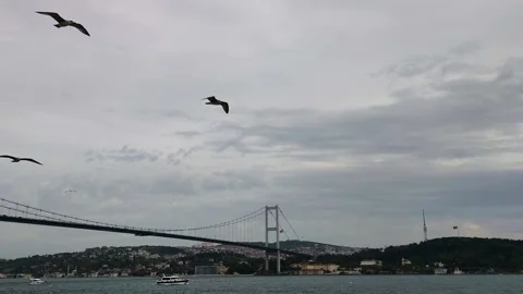 Seagulls Flying Over Bosphorus Bridge with Istanbul Cityscape and Radio Tower Stock Footage 328311129