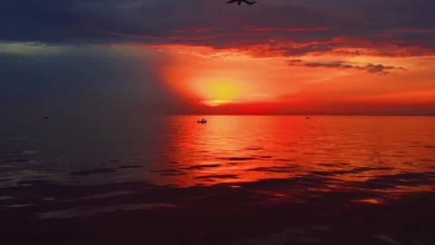 Seagulls Flying Over Calm Ocean During Dramatic Fiery Red Sunset 스톡 동영상 331785670