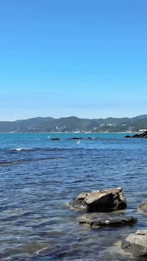 Seagulls Flying Over Clear Blue Ocean Water by Rocky Cliffs Video stock 341319210