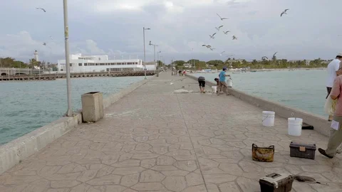 SEAGULLS FLYING OVER DOCK AND FISHERMEN PUERTO PROGRESO LIFE IN MERIDA Video stock 100793720