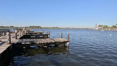 Seagulls flying over dock at Lake Sumter Landing Florida Vídeos de archivo 331404168