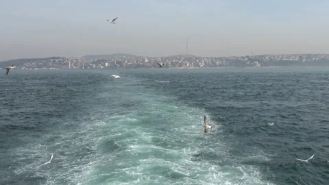 Seagulls Flying Over Ferry Wake on the Bosphorus Video stock 322934879