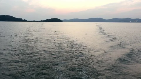 Seagulls flying over the lake at sunset Stock Footage 236203561