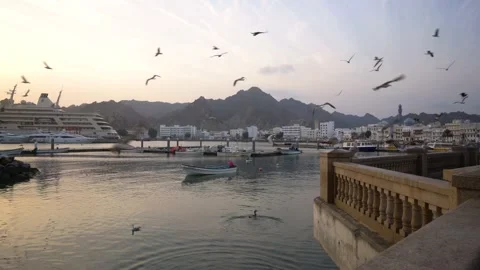 Seagulls flying over Mutrah corniche with boats during sunrise. Muscat, Stock Footage 148453109