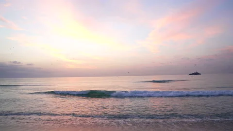 Seagulls flying over the ocean sunset with ship silhouette, cloudscape Stock Footage 220163886