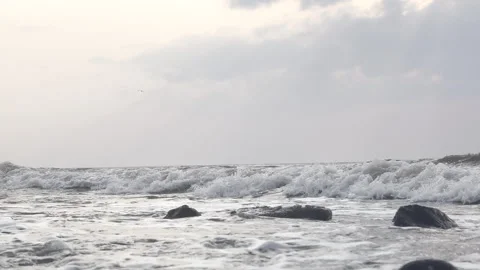 Seagulls Flying Over Ocean Waves and Rocky Shoreline at Dusk Video stock 311528605