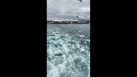 Seagulls flying over ocean waves with city skyline in background Stock Footage 324511217