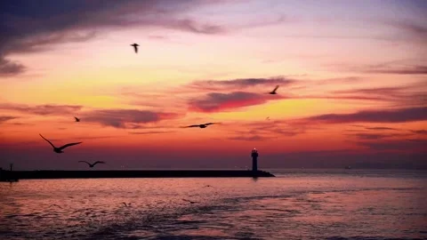 Seagulls Flying over the Sea at Dramatic Sunset with Lighthouse Silhouetted Video stock 331766257