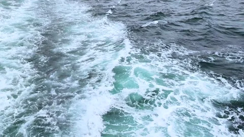 Seagulls Flying Over Sea Waves and Ferry Boat Wake 스톡 동영상 331995687