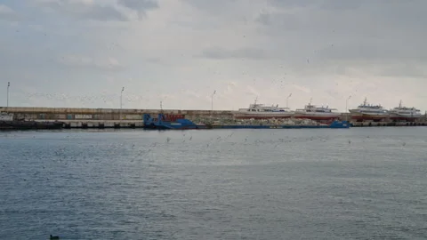 Seagulls Flying Over Small Town Harbor with Boats and Lighthouse in Winter Stock Footage 303231141
