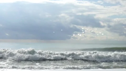 Seagulls Flying Over Wavy Ocean at Sunset Stock Footage 325329468