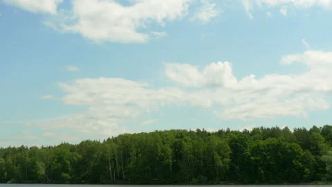 Seagulls Flying In Sky With Clouds Over A Lake In Of The Forest In Summer Day. 스톡 동영상 133649594