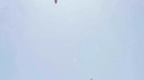 Seagulls Flying in the Sky Stock Footage 65880138