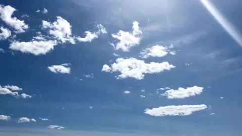 Seagulls flying in the sky. Video stock 131616394