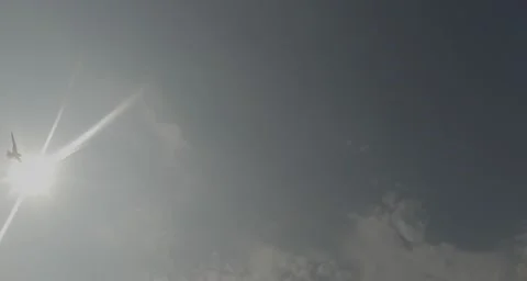 Seagulls Flying in The Sky Under The Bright Rays of The Sunshine Stock Footage 59718522