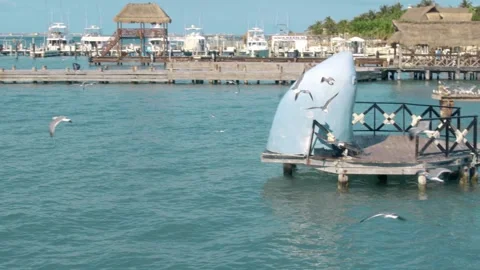 Seagulls flying in slow motion at Islas Mujeres, over turquoise water Stock Footage 305200427