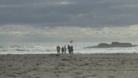 Seagulls Flying in Slow motion Over People And Waves Vídeo Stock 79065564