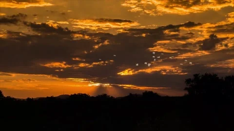 Seagulls Flying at Sunset Under Orange Clouds Video stock 325329447