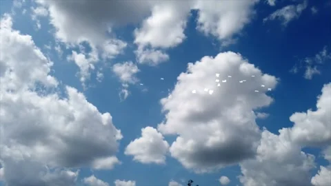 Seagulls Flying Through Clouds Stock Footage 325329278