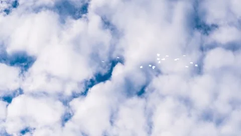 Seagulls Flying Through Clouds in Sky Stock Footage 325329315