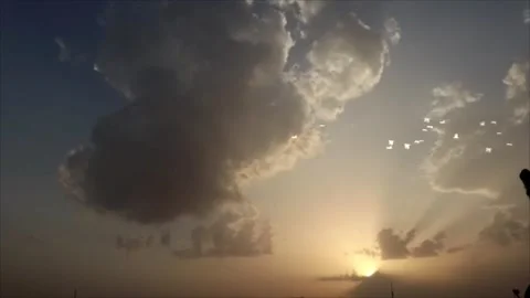 Seagulls Flying Under Clouds at Sunset Stock Footage 325329489